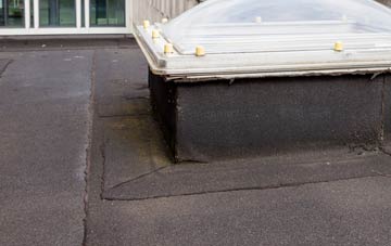 disadvantages of Rudby flat roofs