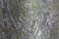 Rudby fibreglass roof work